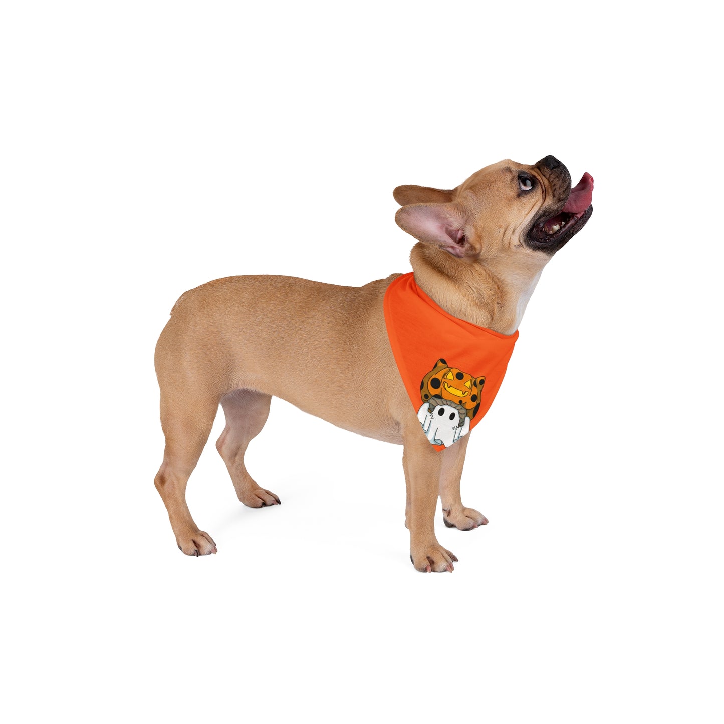 Captain AFAB - Kitty Jack-O-Lantern Ghost Pet Bandana