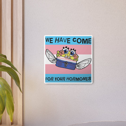 Captain AFAB - We Have Come For Your Hormones Metal Art Sign